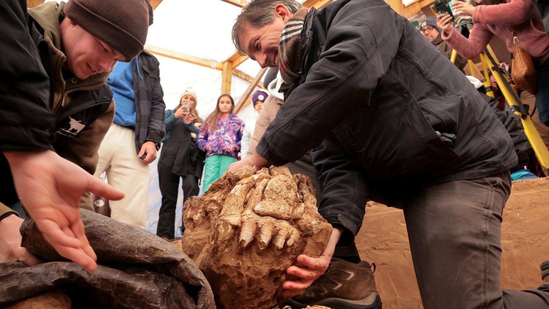 Illinois college finds mastodon on campus, students dig up skull